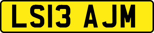LS13AJM