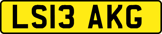 LS13AKG