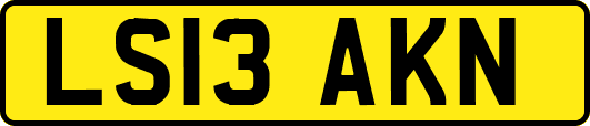 LS13AKN