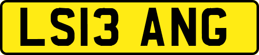 LS13ANG