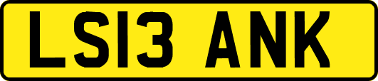 LS13ANK