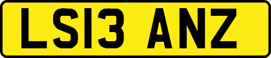 LS13ANZ