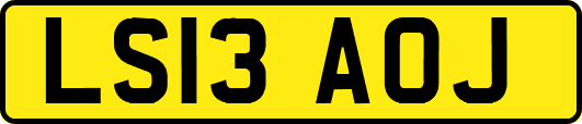 LS13AOJ
