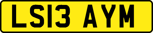 LS13AYM