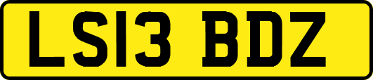 LS13BDZ
