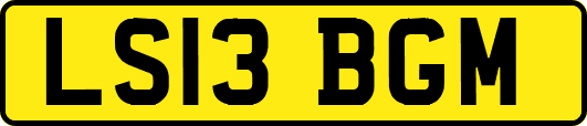 LS13BGM