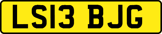 LS13BJG
