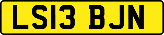 LS13BJN