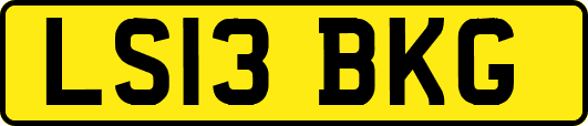 LS13BKG