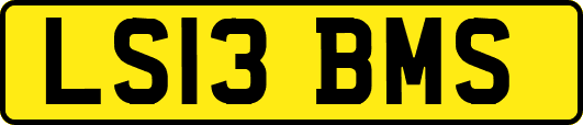 LS13BMS