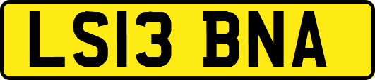 LS13BNA