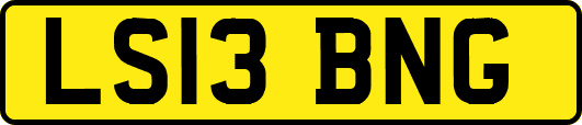 LS13BNG