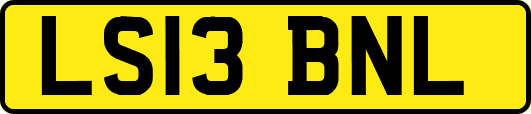 LS13BNL