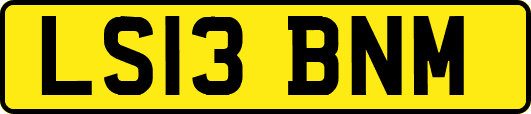 LS13BNM