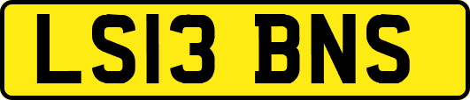 LS13BNS