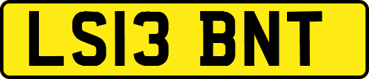 LS13BNT