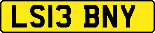 LS13BNY