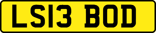 LS13BOD