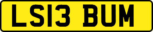LS13BUM
