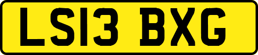 LS13BXG
