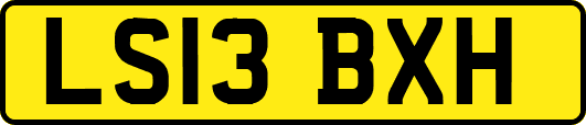 LS13BXH