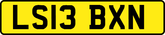 LS13BXN