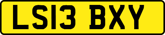 LS13BXY