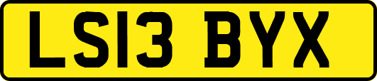 LS13BYX