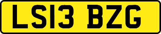 LS13BZG