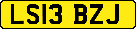 LS13BZJ