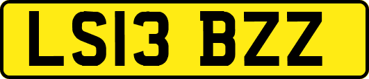 LS13BZZ