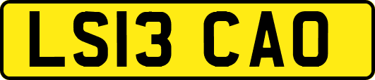 LS13CAO