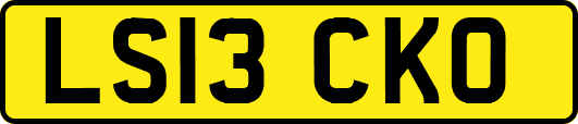 LS13CKO