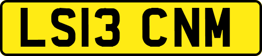 LS13CNM