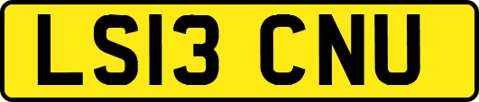 LS13CNU