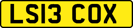 LS13COX