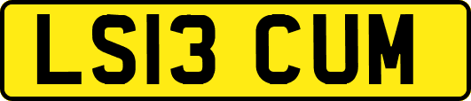 LS13CUM