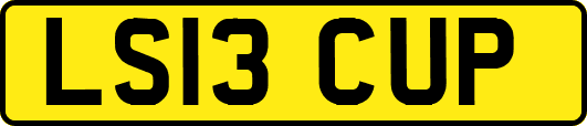 LS13CUP
