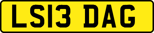 LS13DAG