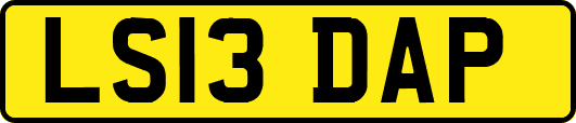 LS13DAP
