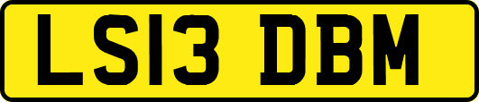LS13DBM