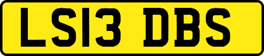 LS13DBS