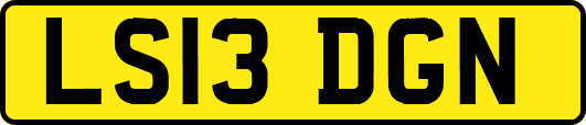 LS13DGN