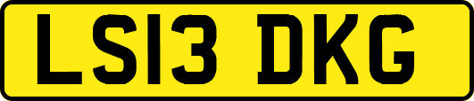 LS13DKG