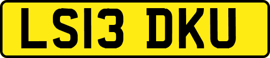 LS13DKU
