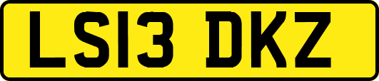 LS13DKZ