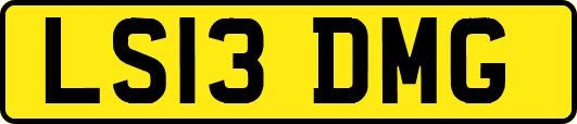 LS13DMG