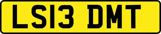 LS13DMT