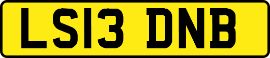LS13DNB