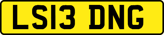 LS13DNG